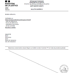 Traduction casier judiciaire