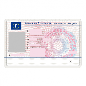 Traduction permis de conduire
